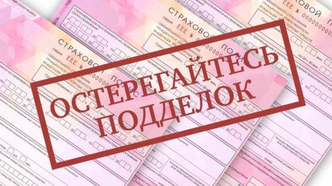 На свой страх и риск: методы аферистов-брокеров, о которых нужно знать