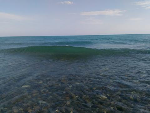 Эксперимент по вылову медуз в Азовском море пройдет в 2026 году
