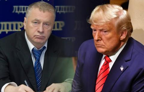 Трамп и Жириновский