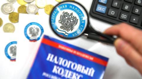 фальшивые налоговики