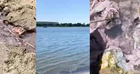 Река Дон в Ростове становится фиолетового цвета, а вода разъедает камни