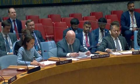 Василий Небензя