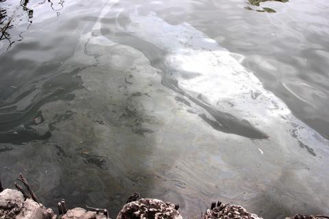 нефтяное пятно в реке