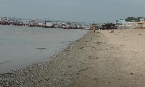 На некоторых пляжах в Волгоградской области обнаружили патогены и паразитов