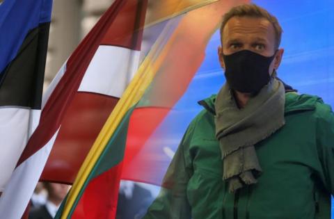 Носович: Запад использует Прибалтику, чтобы «раскачать» протесты за Навального