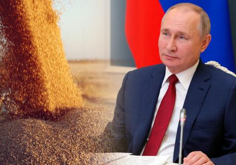 В США оценили эффект от решения Путина по экспорту пшеницы