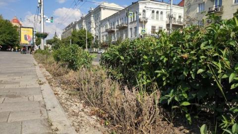 Ростов-на-Дону, Озеленение