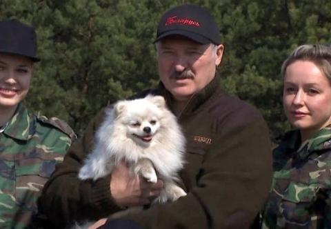 В Bild шпица Умку Лукашенко назвали «отвлекающим маневром» на Параде Победы