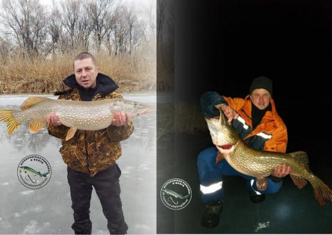 Астраханские рыбаки поймали двух щук огромных размеров
