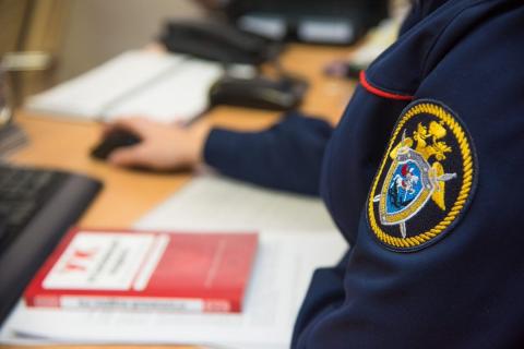 СК РФ эбмлема