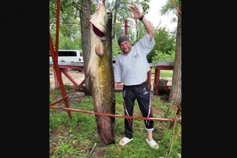 В Астрахани рыбак показал пойманного с борьбой сома выше человеческого роста