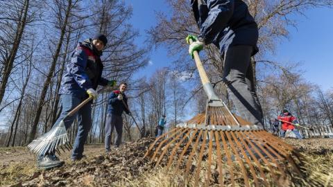 Городской субботник