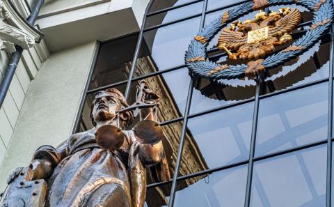 Верховный суд СК и Верховный суд поддержали законопроект о наказании за вовлечение детей в акции протеста