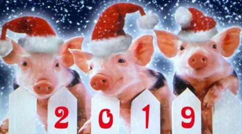 4 знака Зодиака, которым несказанно повезет в 2019 году 4 знака Зодиака, которым несказанно повезет в 2019 году