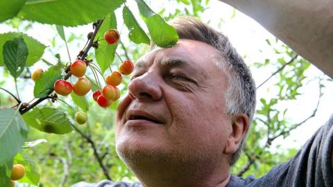 Андрей Туманов садовод