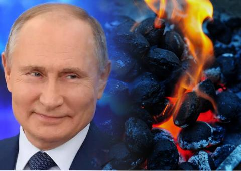 В Германии оценили смелый план Путина с углем и газом: Европа впадёт в зависимость 