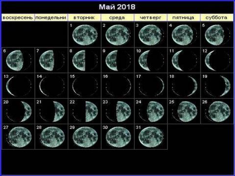 Фазы Луны в мае 2018 года: какого числа полнолуние, новолуние, растущая и убывающая Луна Фазы Луны в мае 2018 года: какого числа полнолуние, новолуние, растущая и убывающая Луна