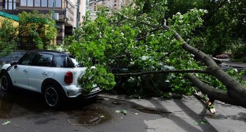 Ураган в Москве - 6 трупов