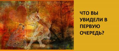 Психологический тест на характер: в чем вы нуждаетесь на данный момент больше всего