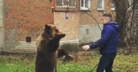 В Таганроге устанавливают личность мужчины, гулявшего по городу с медведем