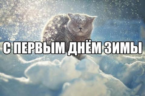 Картинки с первым днем зимы 2018 Картинки с первым днем зимы 2018: красивые открытки, поздравления