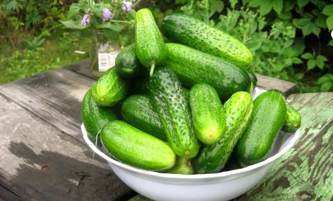 Огурцы и еще пять продуктов поддерживают здоровье одного из органов – эксперты 