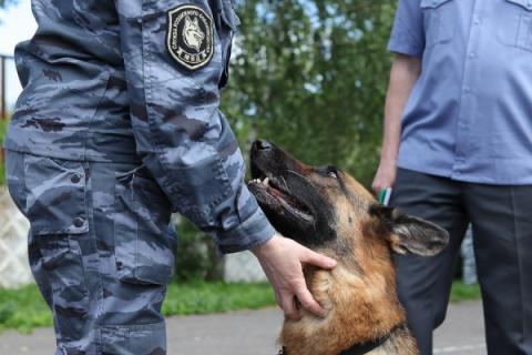 День кинолога в России 21 июня 2018: история, особенности и веселые поздравления к празднику День кинолога в России 21 июня 2018: история, особенности и веселые поздравления к празднику