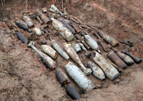 В Тверской области обезвредили около 800 взрывоопасных боеприпасов