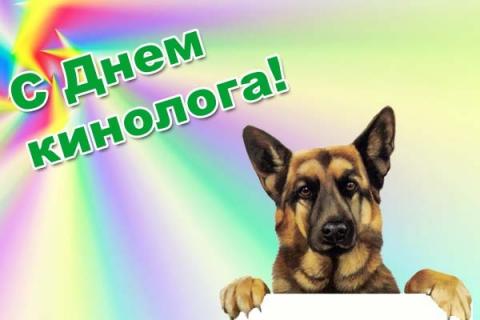 День кинолога – 2018: анимационные поздравления с профессиональным праздником День кинолога – 2018: анимационные поздравления с профессиональным праздником