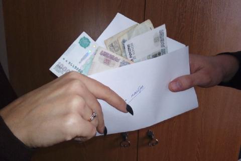 ФНС сообщила о высоком уровне теневых зарплат в крупных российских компаниях