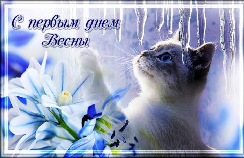 Открытки с первым днем весны 2019 Открытки с первым днем весны 2019 1 марта: картинки, гифки, красивые поздравления и пожелания