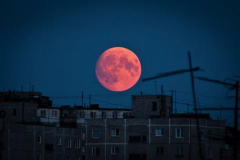 «Кровавая луна» в Воронеже как предвестник «Апокалипсиса»: горожане всерьез задумались о плохом