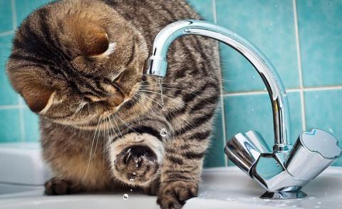 В Астрахани перенесли двухнедельное отключение воды в ряде районов 