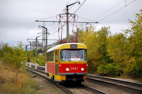 В Волгограде на два дня сделали бесплатным проезд в электротранспорте