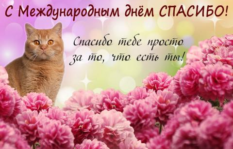 Картинки с Международным днем «Спасибо» Картинки с Международным днем «Спасибо»: открытки, гифки, наилучшие поздравления