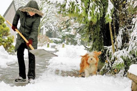 Декабрь на усадьбе Огородные работы в декабре