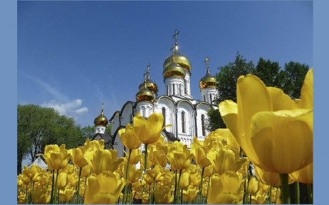 Седьмая неделя