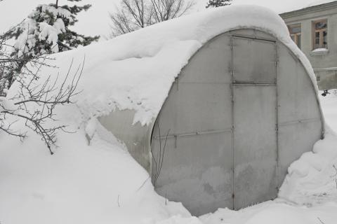 Куры в теплице из поликарбоната