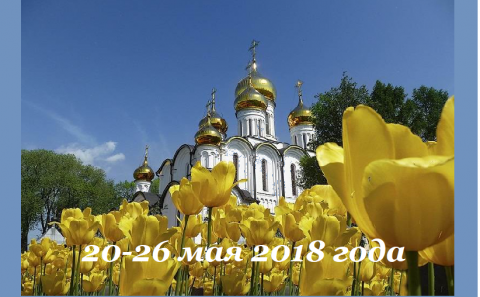 Седьмая Неделя