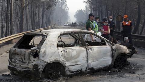Лесные пожары в Португалии унесли жизни 62 человек 