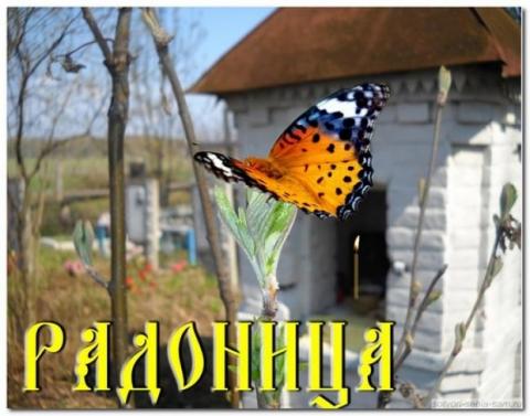 Радоница 25 апреля ― день особого поминовения усопших: как правильно поминать умерших родственников