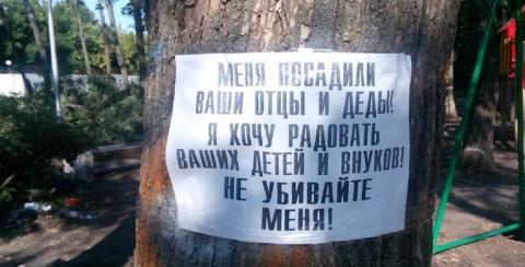 Общественники требуют от властей Ростова приостановить вырубку деревьев в парке «Осенний»