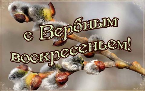 Великий пост 2018 Вход Господень в Иерусалим