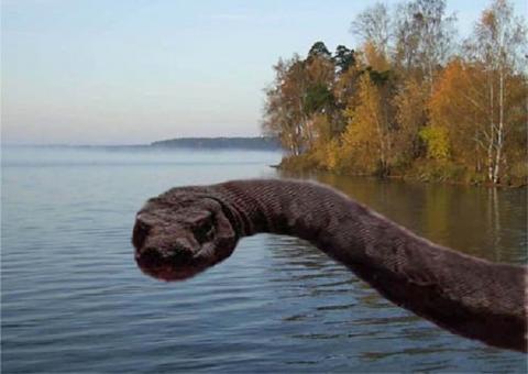 Возвращение Несси: в водах шотландского озера снова замечено чудовище 
