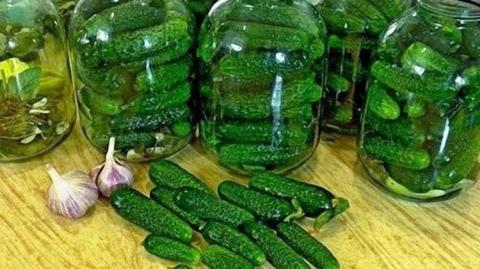 Маринованные огурцы, как замариновать огурцы