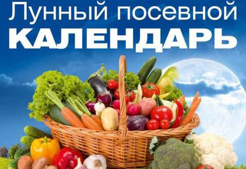Лунный посевной календарь для садоводов и огородников на май 2017: таблица посадки рассады и семян