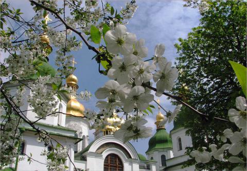 Расписание праздничного богослужения в честь Светлого Христова Воскресения: когда и во сколько идти в храм на Пасху