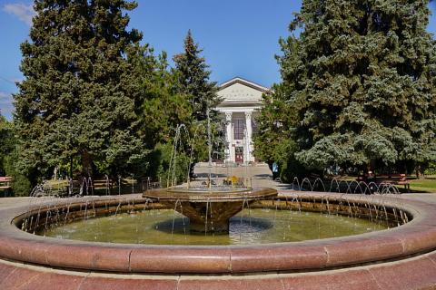 Волгоградская область елочки