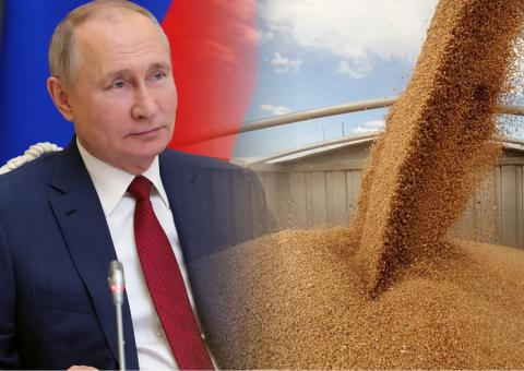 В США оценили тактику Путина на рынке пшеницы, усиливающую власть России