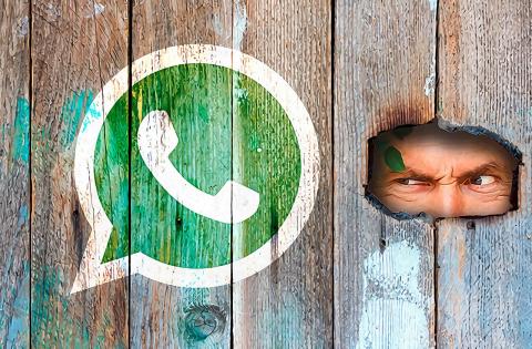 Forbes назвал опасную настройку WhatsApp, которую стоит отключить навсегда